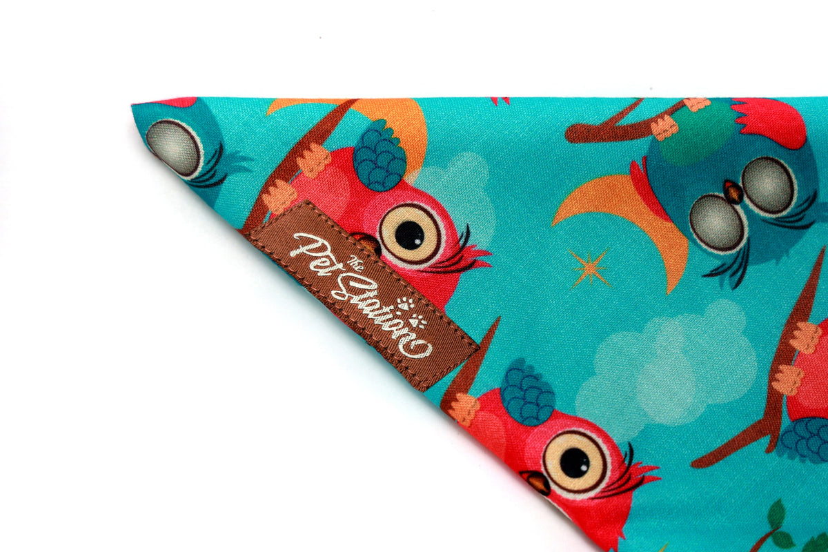 Hoot Hoot Bandana – Pet Station Exclusive - Premium Accessories from The Pet Station