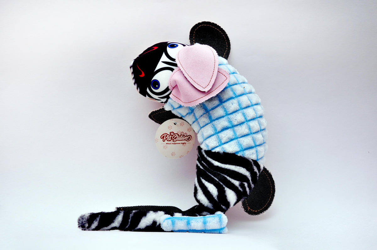 THE RAVISHING ZEBRA - Premium Accessories from The Pet Station