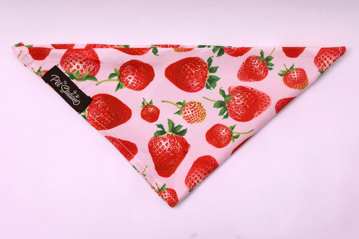 STRAWBERRY KISSES - Premium Accessories from The Pet Station