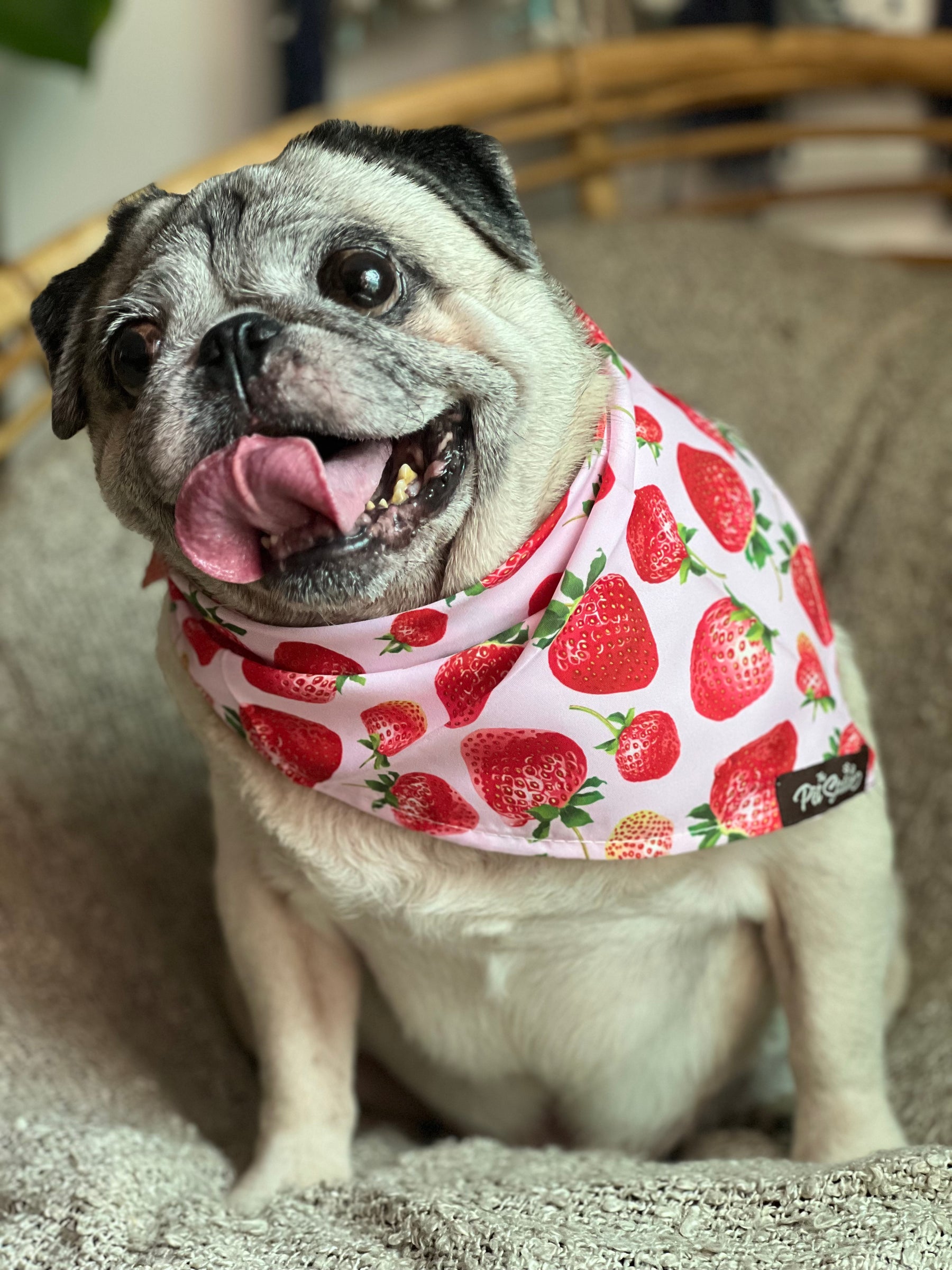 STRAWBERRY KISSES - Premium Accessories from The Pet Station