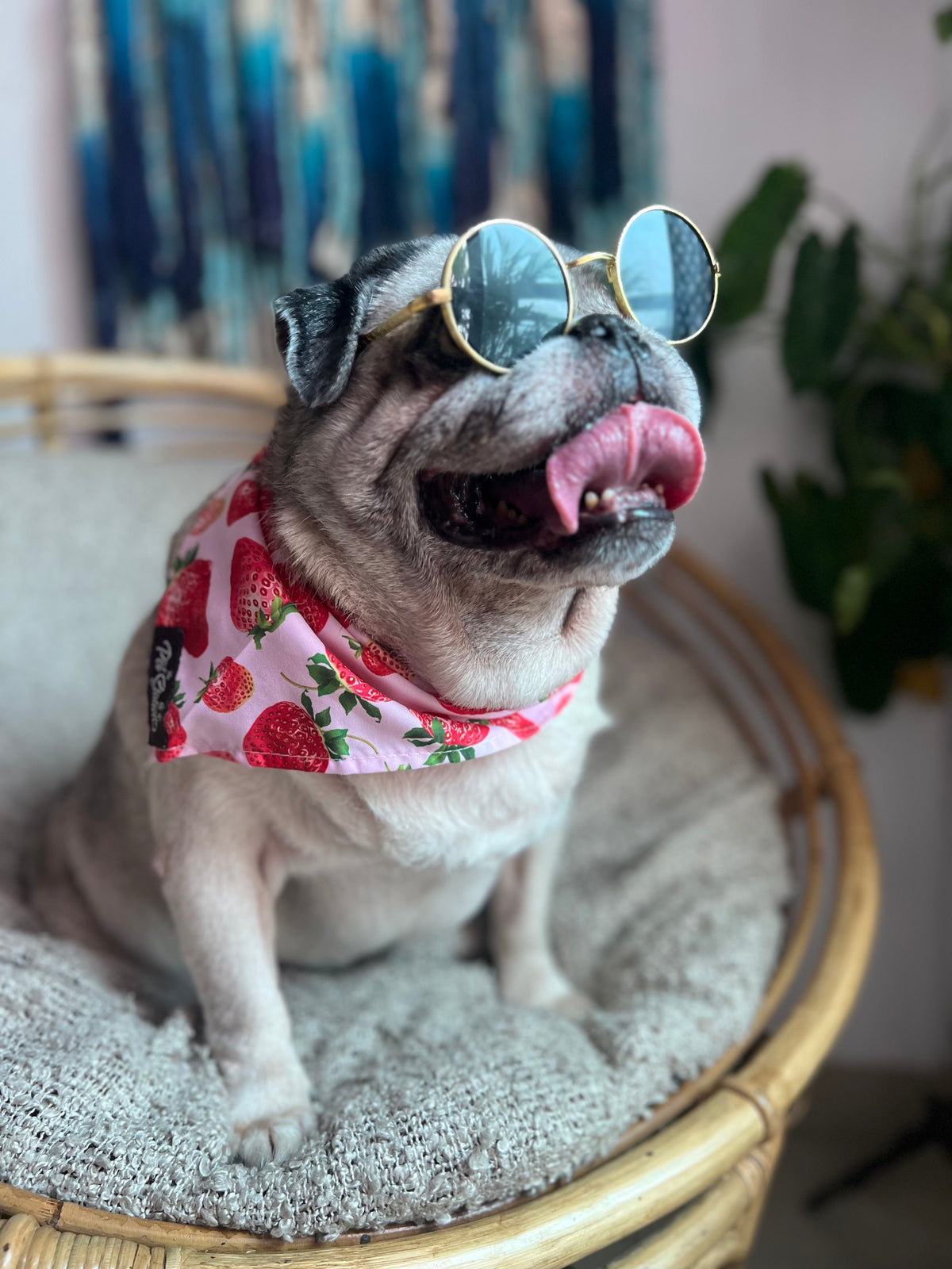 STRAWBERRY KISSES - Premium Accessories from The Pet Station