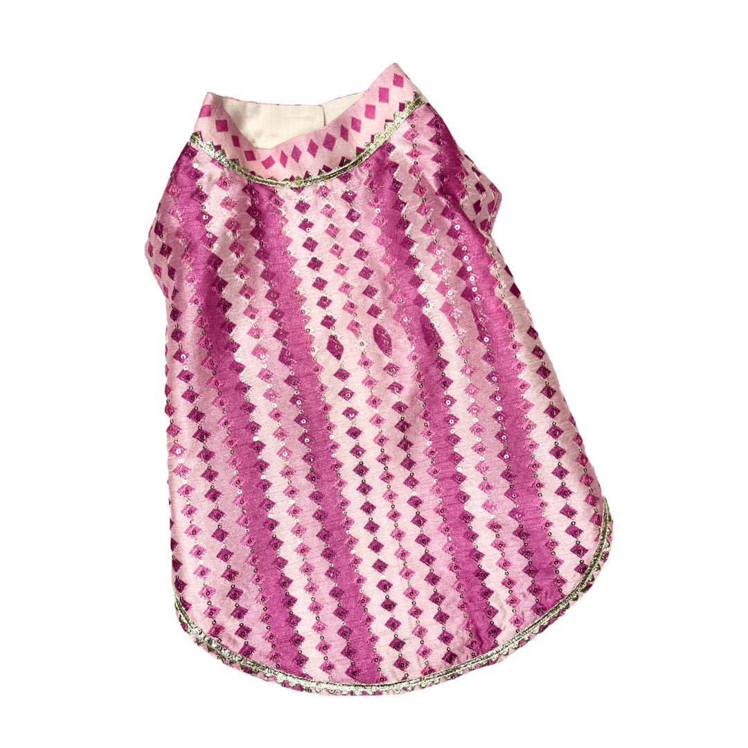 Festive Pet Sherwani