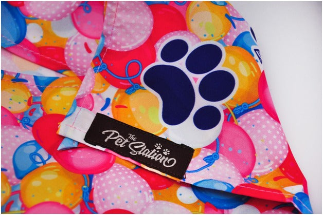 HAPPY BIRTHDAY COLOURFUL BALLOON BANDANA - Premium Accessories from The Pet Station