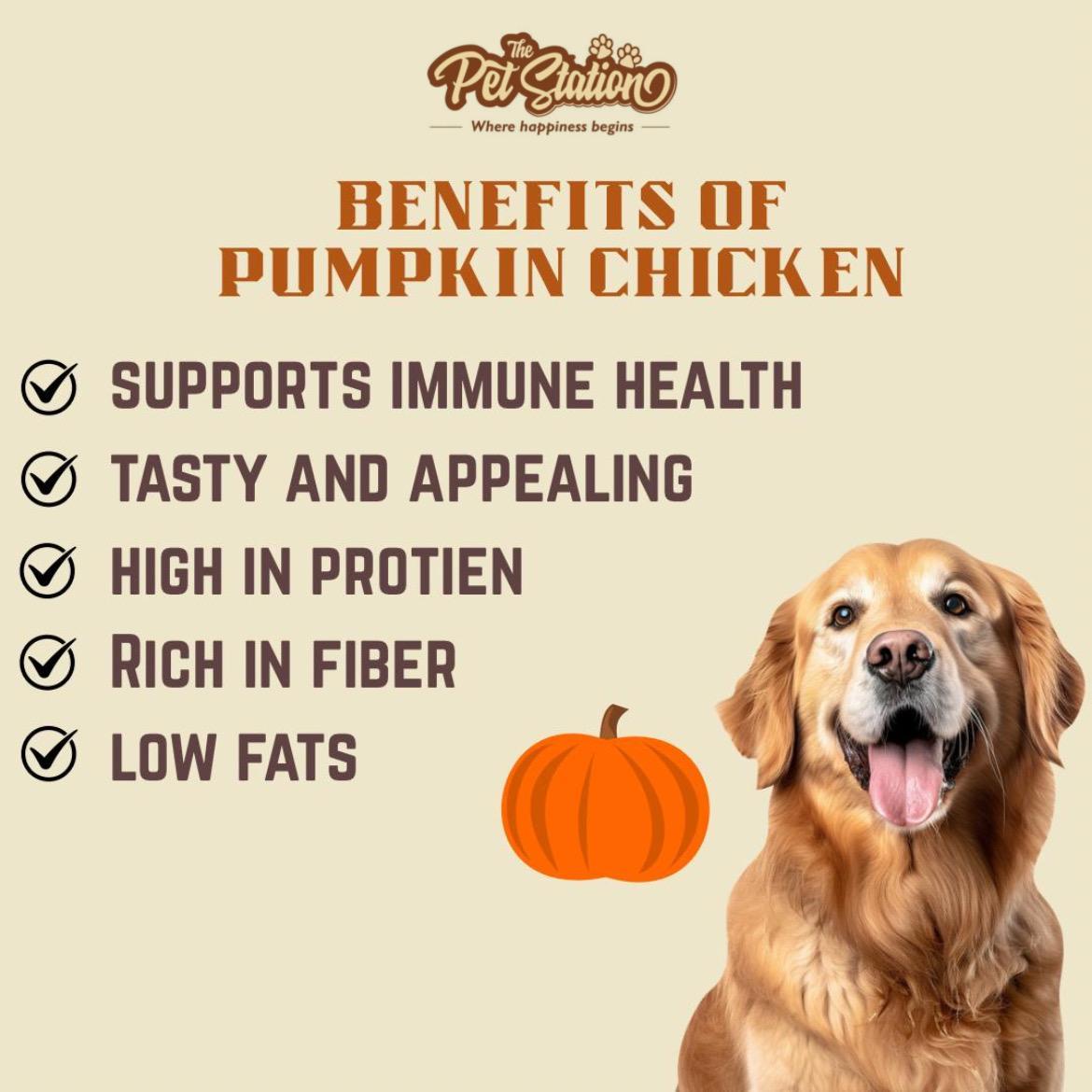 Pumpkin Chicken - Premium food from The Pet Station