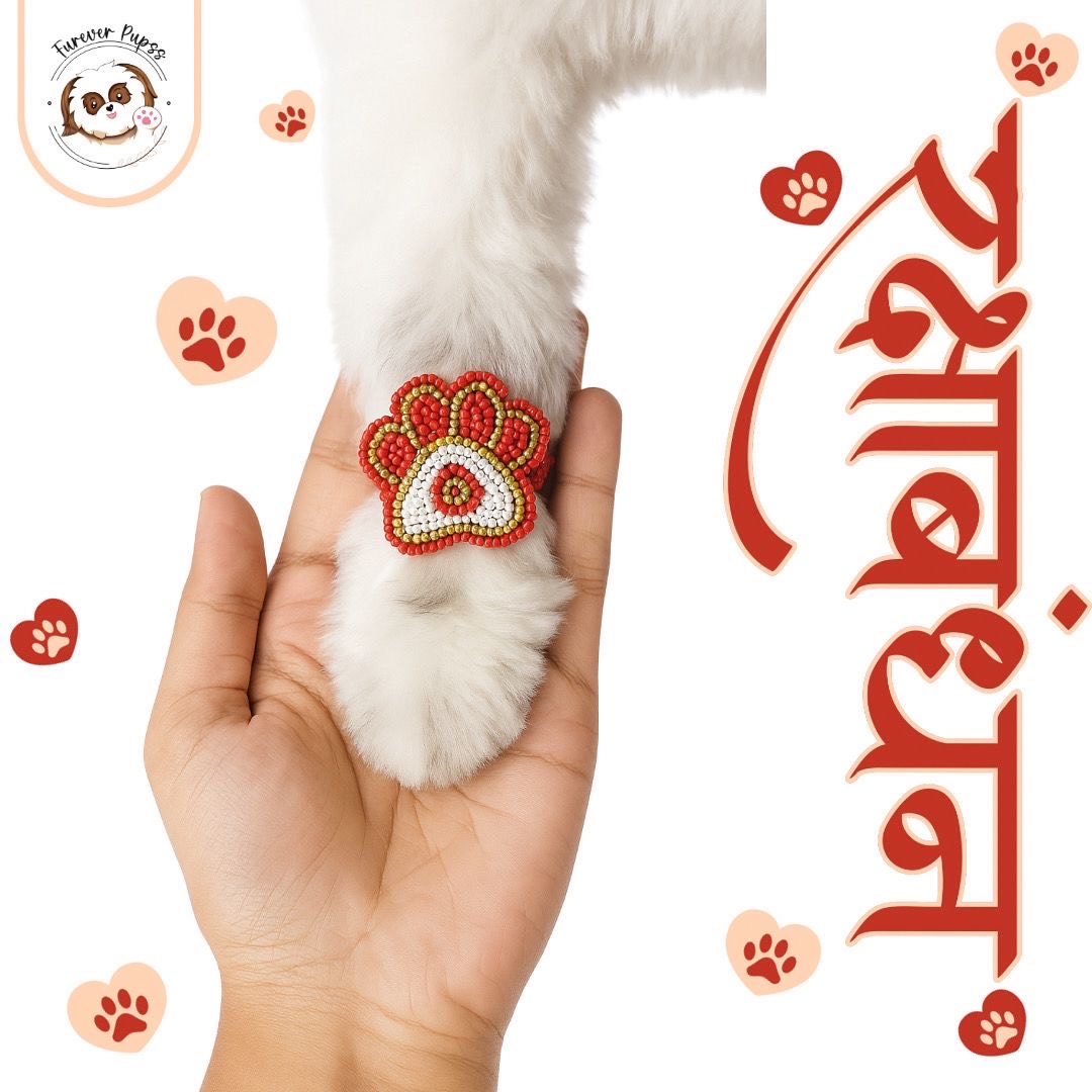 Handcrafted Paw Rakhi