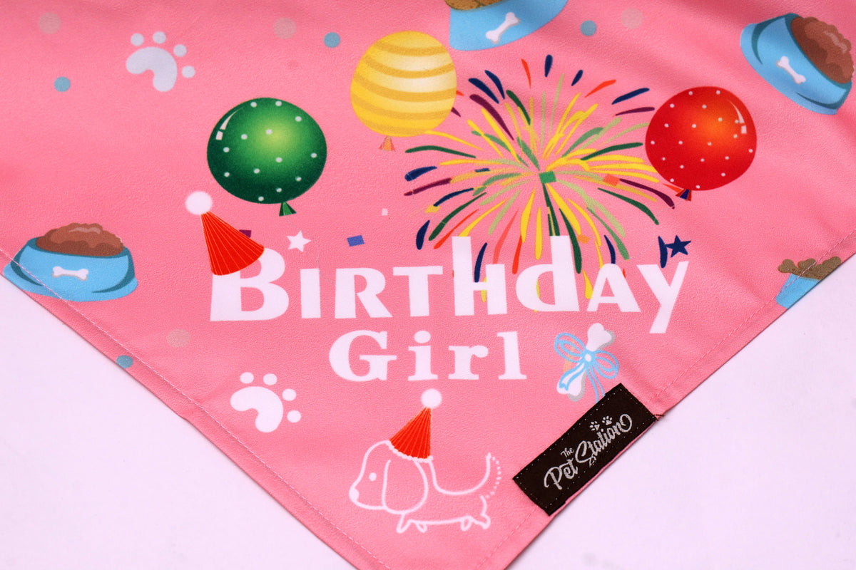 BIRTHDAY BASH BANDANA - Premium Accessories from The Pet Station
