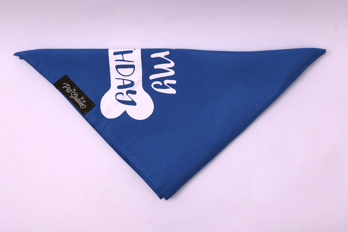 SOLID COLOR BIRTHDAY BANDANA - Premium Accessories from The Pet Station