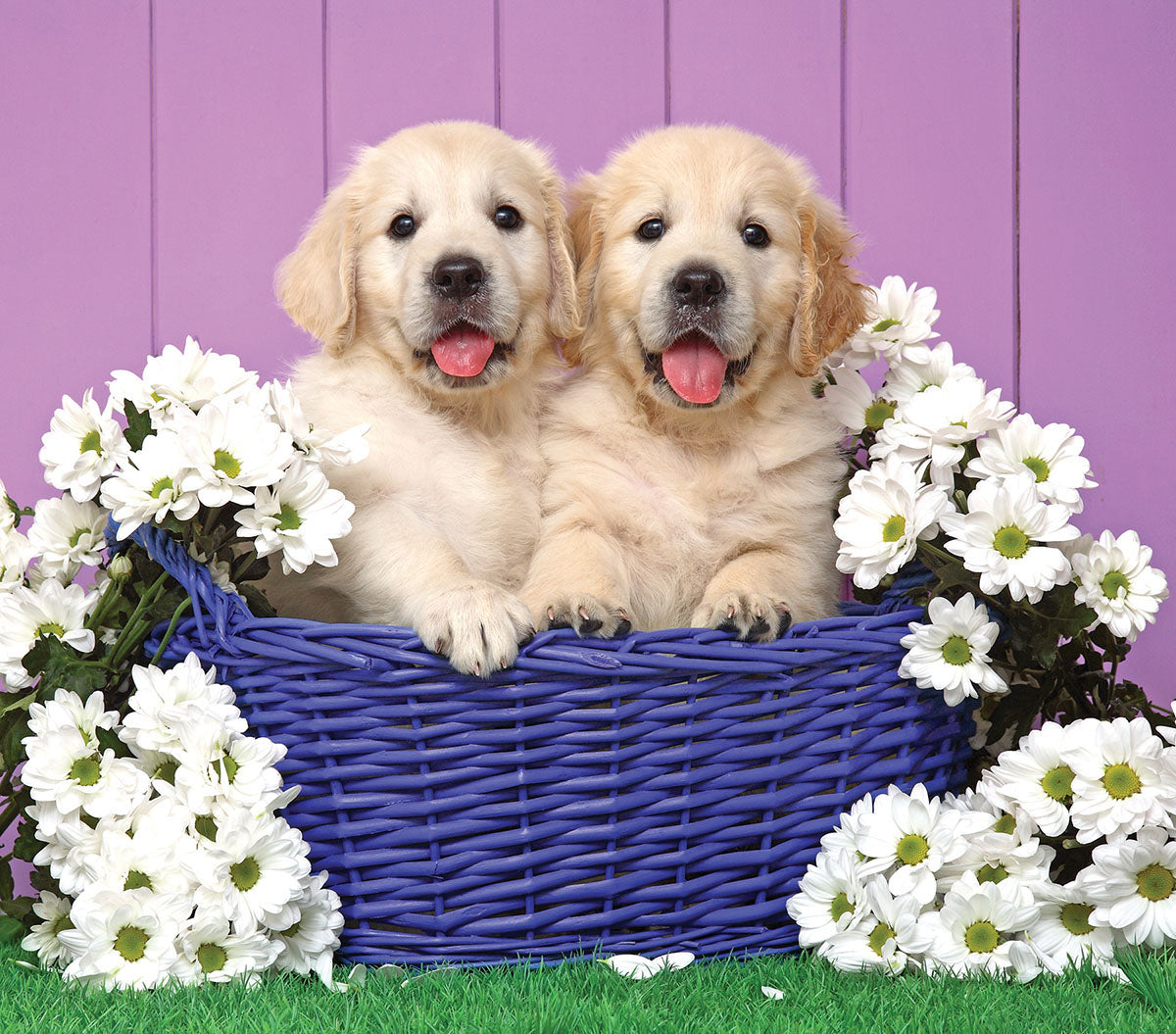 GIFT HAMPERS