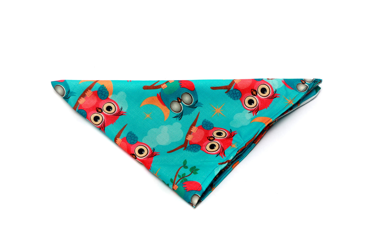 Hoot Hoot Bandana – Pet Station Exclusive 🦉🌙 - Premium Accessories from The Pet Station 