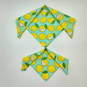LEMON LOVE BANDANA - Premium Accessories from The Pet Station 