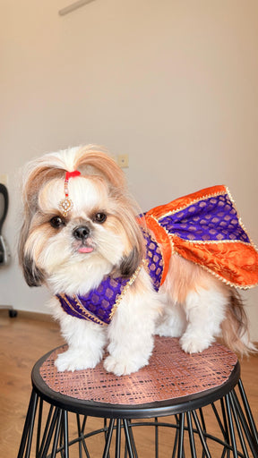 Festive Pet Lehengas II