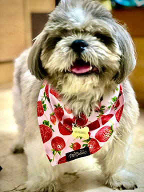 STRAWBERRY KISSES - Premium Accessories from The Pet Station 
