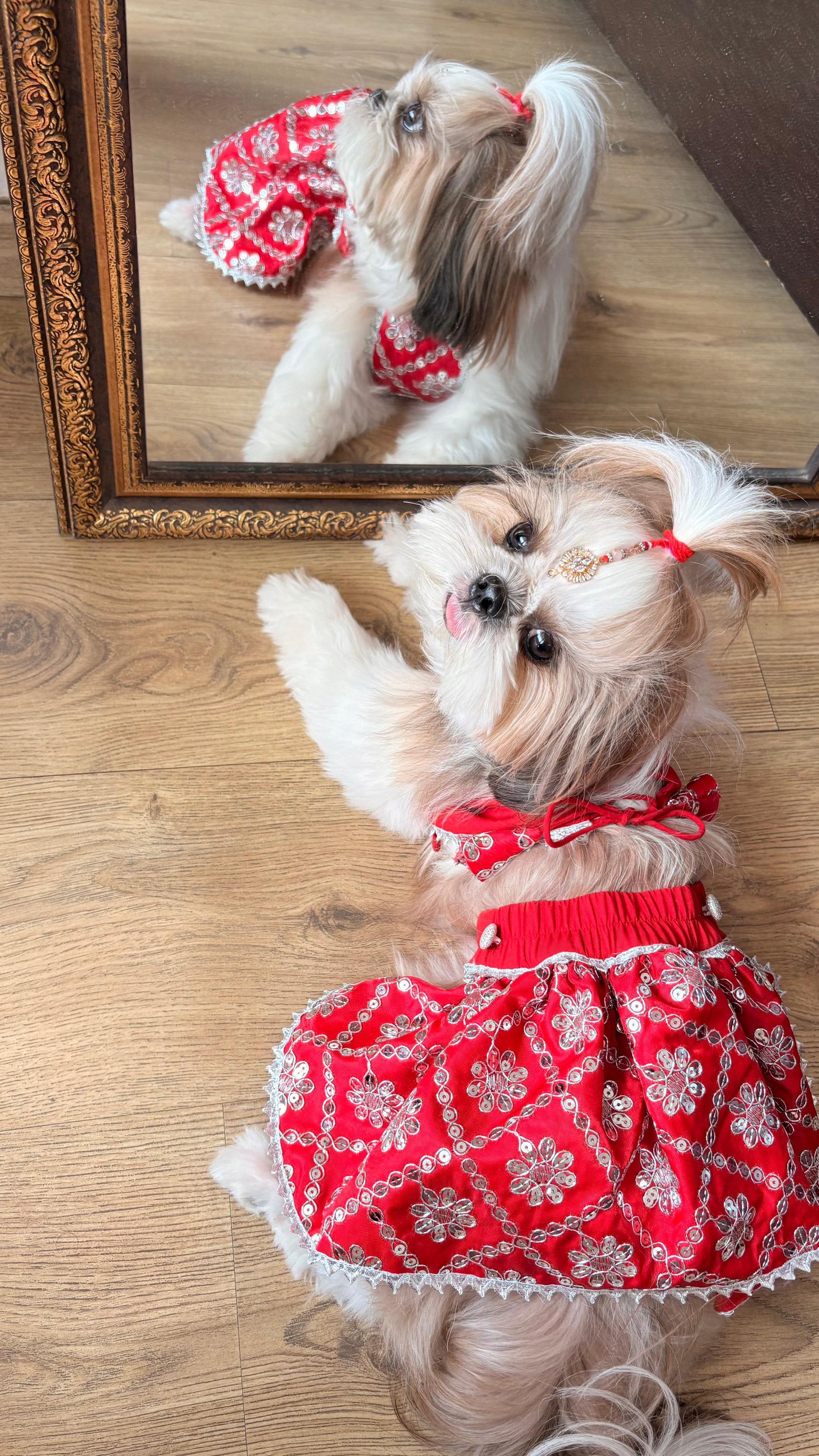 Sparkle Festive Pet Lehengas