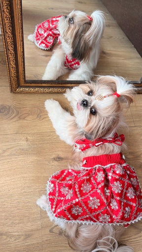 Sparkle Festive Pet Lehengas