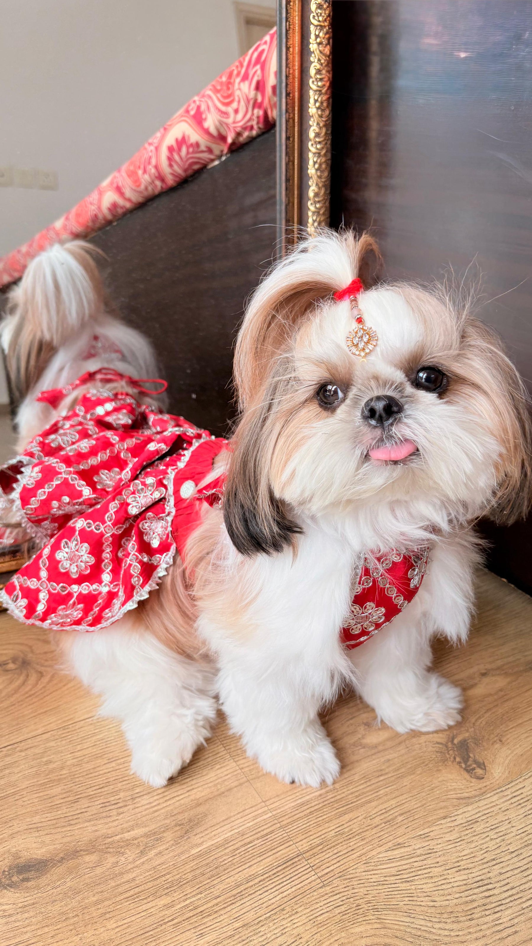 Sparkle Festive Pet Lehengas