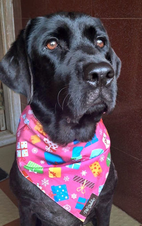 TPS Birthday Pawty bandana