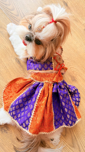 Festive Pet Lehengas II