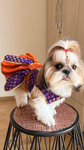 Festive Pet Lehengas II