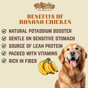 Banana Chicken - Premium food from The Pet Station 