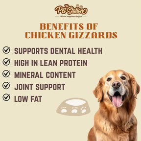 Chicken Gizzards - Premium food from The Pet Station 