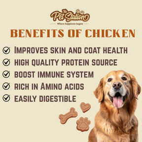 Chicken Liver Sticks - Premium food from The Pet Station 