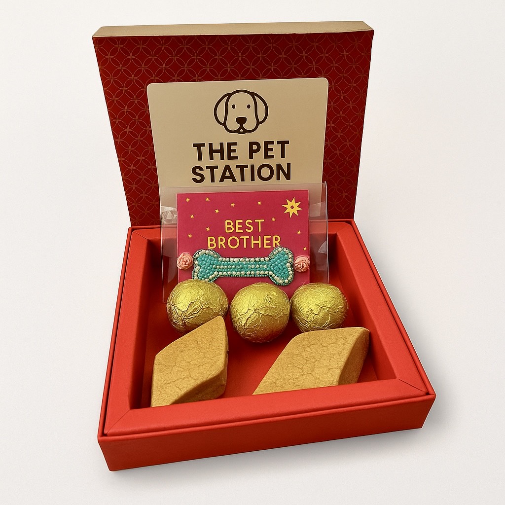 Raksha Bandhan Pet Box