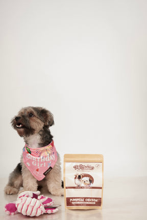 BIRTHDAY BASH BANDANA - Premium Accessories from The Pet Station 