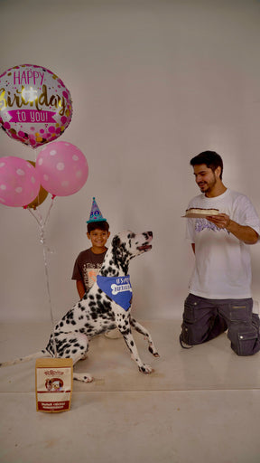 SOLID COLOR BIRTHDAY BANDANA - Premium Accessories from The Pet Station 