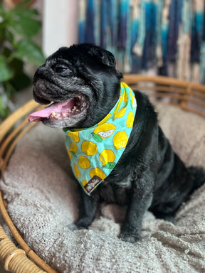 LEMON LOVE BANDANA - Premium Accessories from The Pet Station 