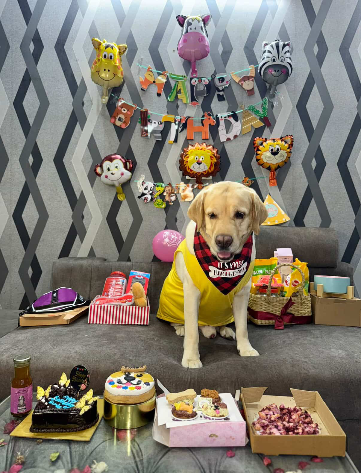 RED AND BLACK CHECKS “HAPPY BDAY” BANDANA FOR PETS - Premium Accessories from The Pet Station 