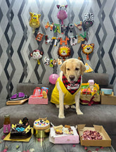 RED AND BLACK CHECKS “HAPPY BDAY” BANDANA FOR PETS - Premium Accessories from The Pet Station 