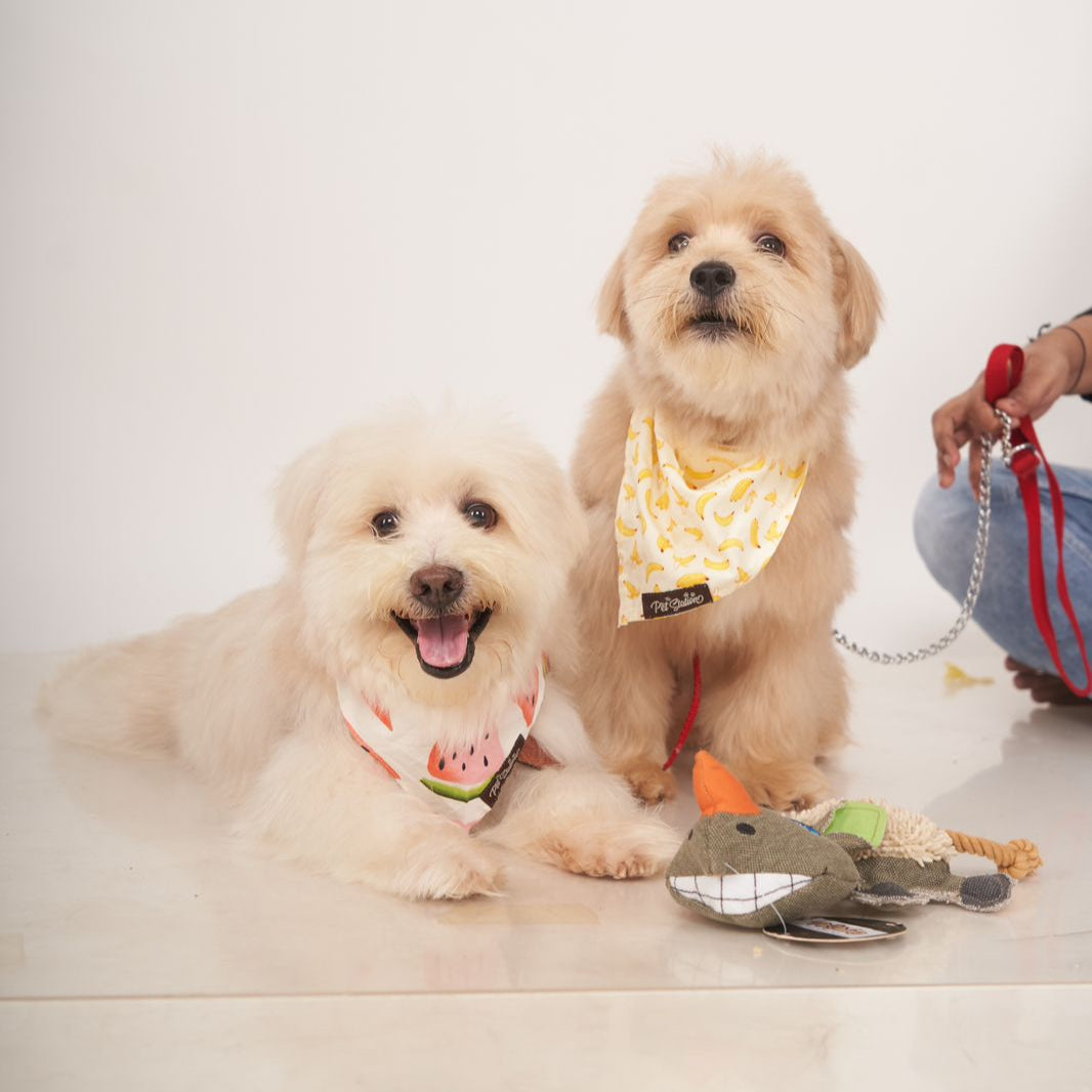 BANANA PRINT COTTON BANDANA FOR PETS - Premium Accessories from The Pet Station 