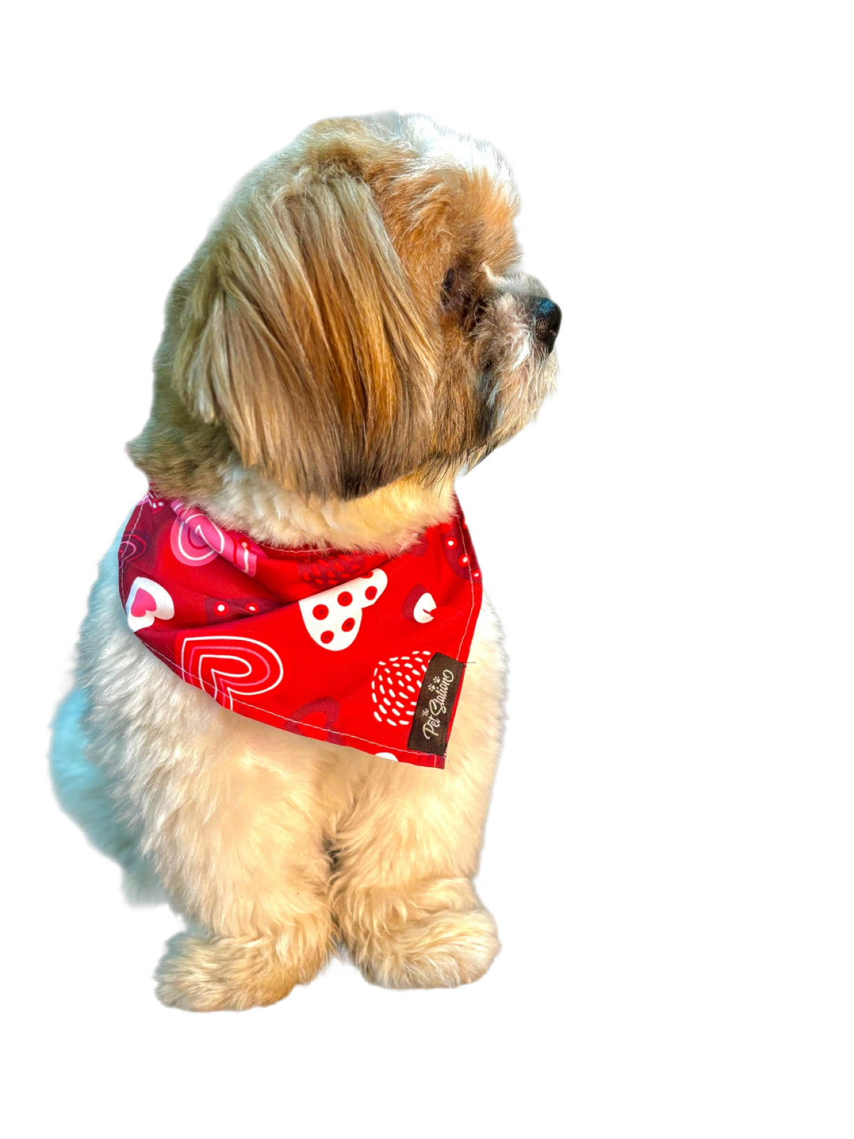 RED AND WHITE HEARTS BANDANA - LOVE THEME FOR PETS - Premium Accessories from The Pet Station 