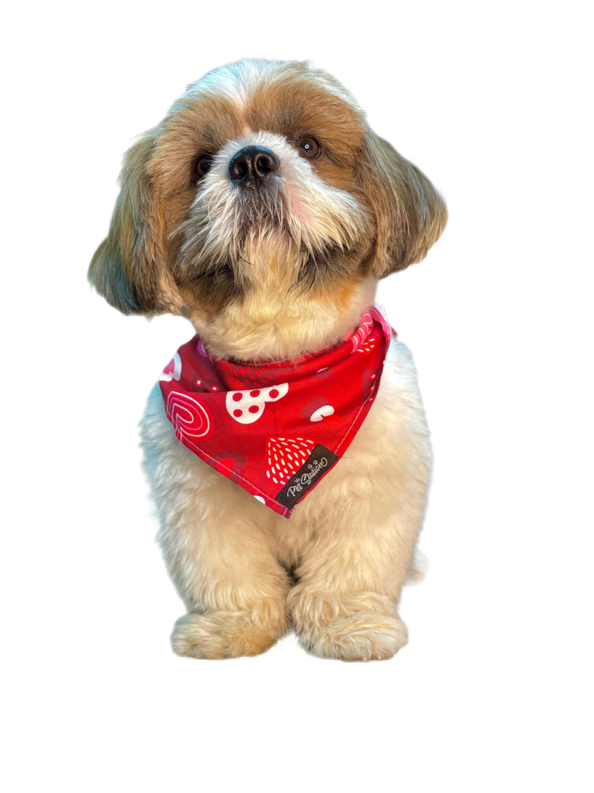 RED AND WHITE HEARTS BANDANA - LOVE THEME FOR PETS - Premium Accessories from The Pet Station 