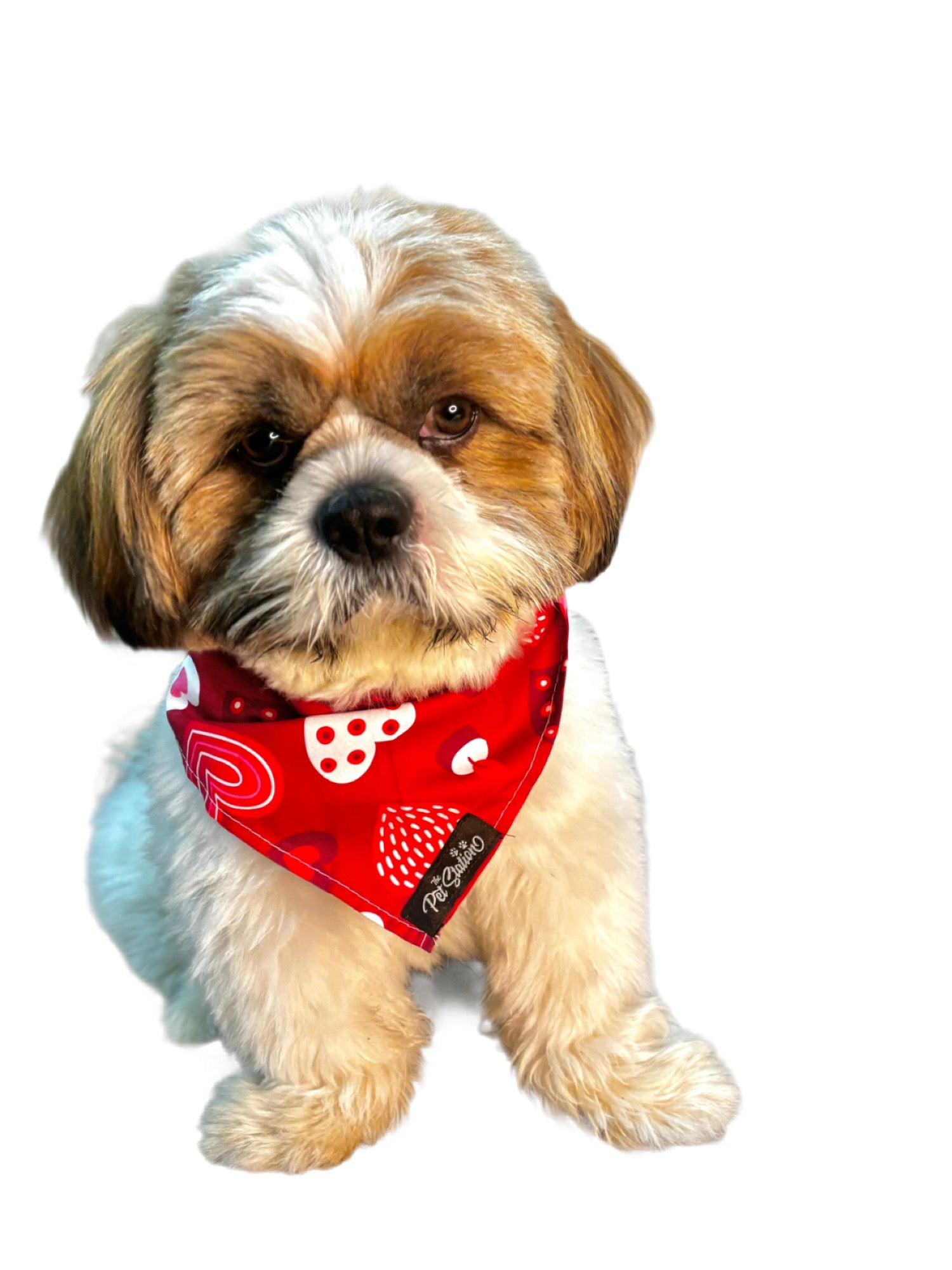 RED AND WHITE HEARTS BANDANA - LOVE THEME FOR PETS - Premium Accessories from The Pet Station 