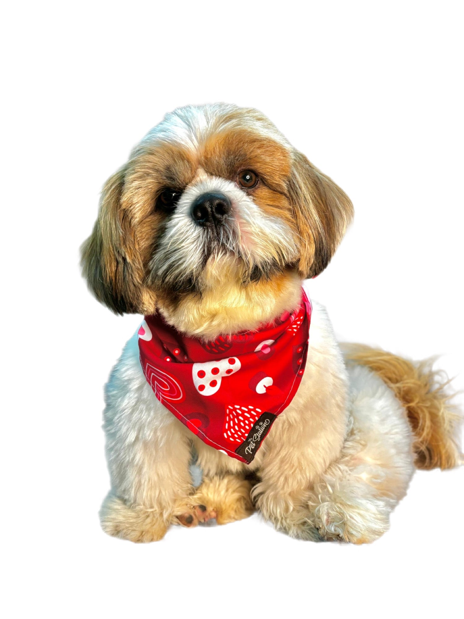 RED AND WHITE HEARTS BANDANA - LOVE THEME FOR PETS - Premium Accessories from The Pet Station 