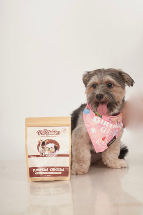 BIRTHDAY BASH BANDANA - Premium Accessories from The Pet Station 