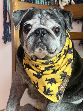 Batty for You Bandana