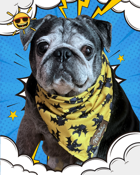 Batty for You Bandana