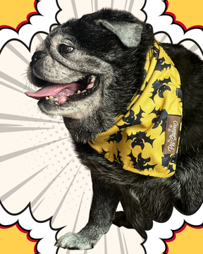Batty for You Bandana