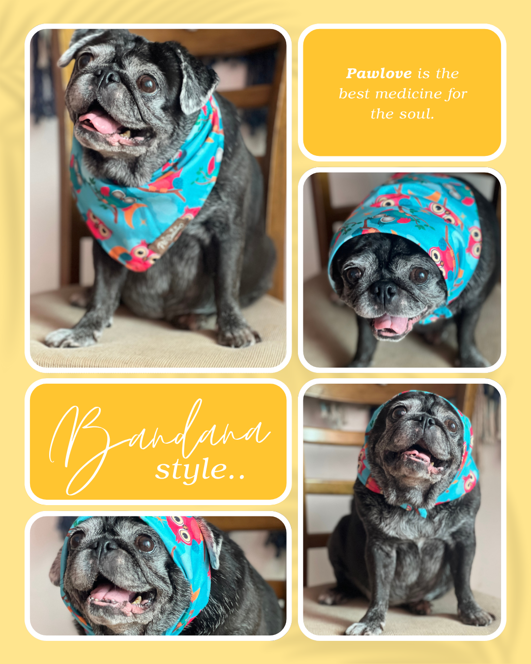 Hoot Hoot Bandana