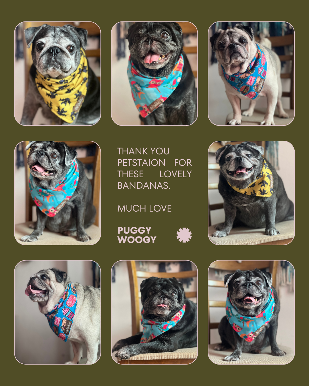 Snack Attack Bandana