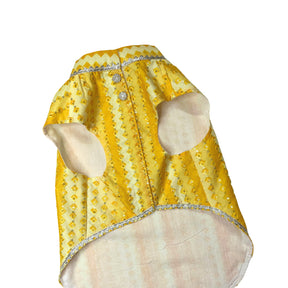 Festive Pet Sherwani