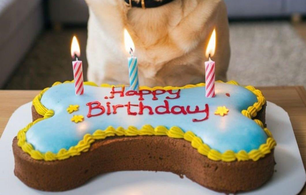 Bone shaped birthday cake with blue icing and candles, perfect for pet celebrations.