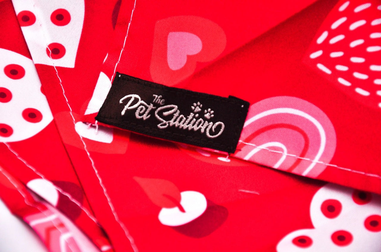 RED AND WHITE HEARTS BANDANA - LOVE THEME FOR PETS - Premium Accessories from The Pet Station 