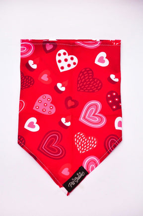 RED AND WHITE HEARTS BANDANA - LOVE THEME FOR PETS - Premium Accessories from The Pet Station 