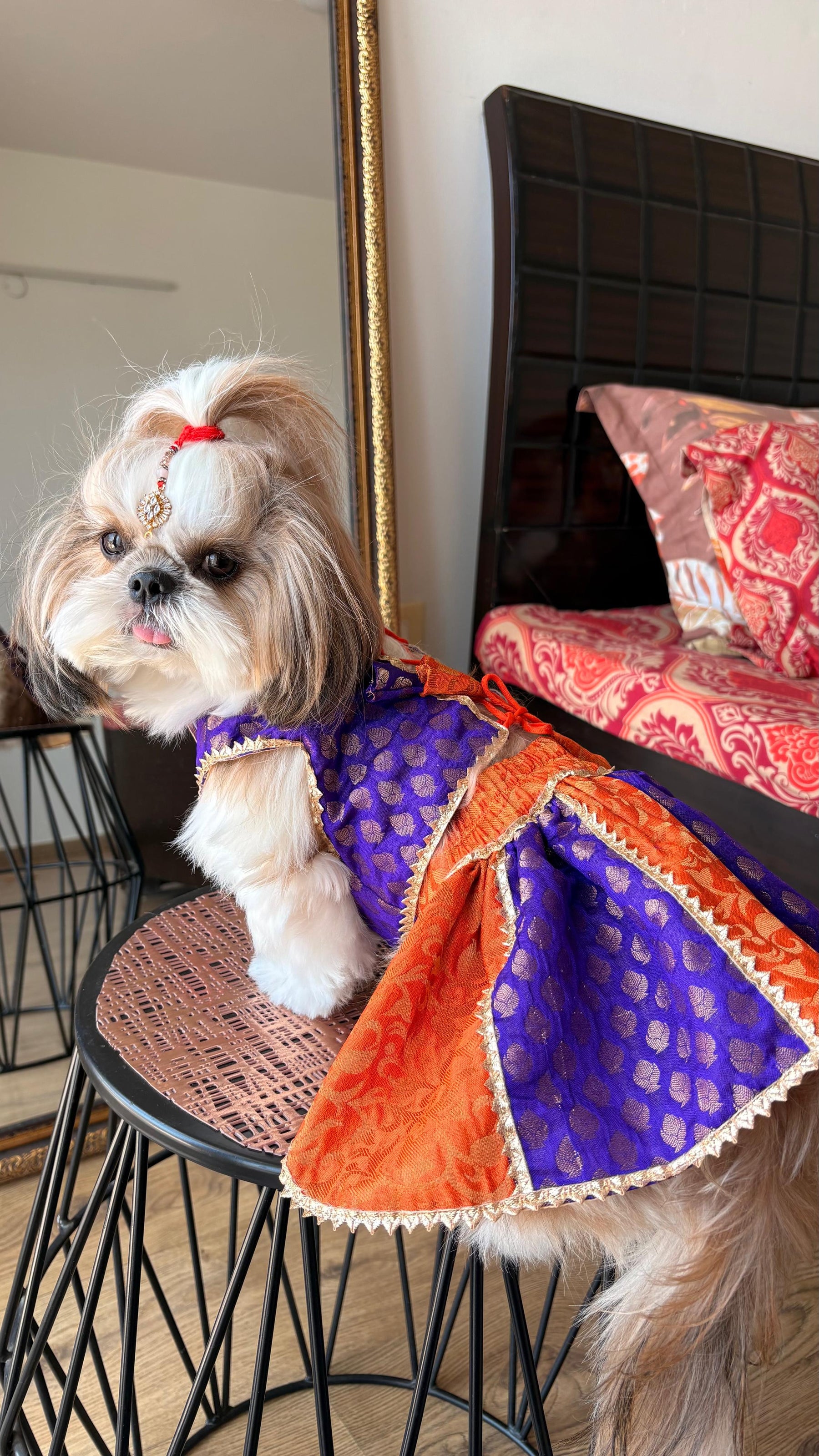 Festive Pet Lehengas II