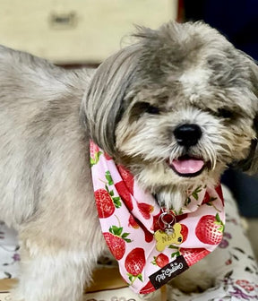 STRAWBERRY KISSES - Premium Accessories from The Pet Station 