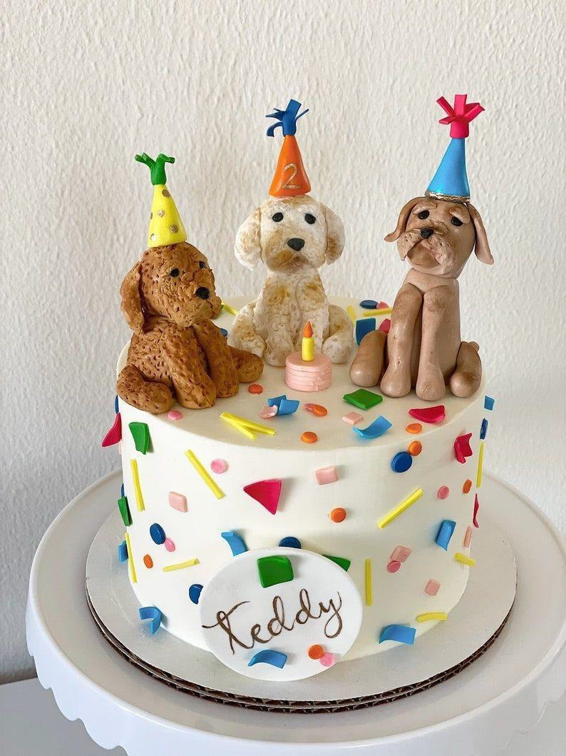 Pet Station’s “Teddy’s Party” Dog Cake - Premium Cakes from The Pet Station 