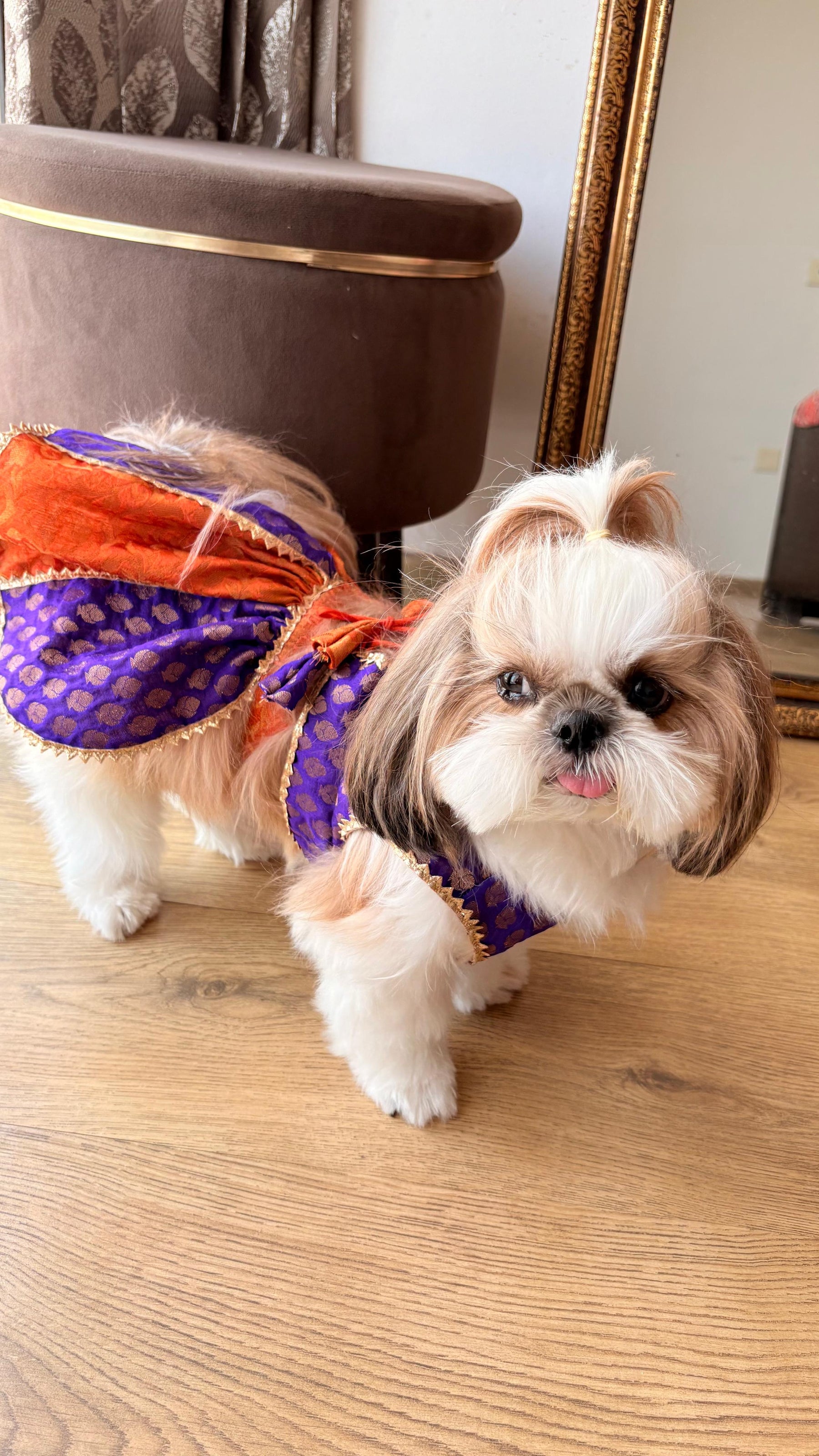 Festive Pet Lehengas II